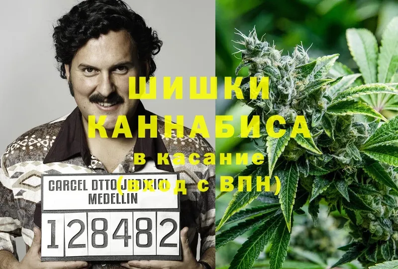 мориарти как зайти  Амурск  Канабис SATIVA & INDICA  МЕГА маркетплейс 